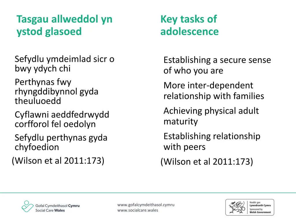 tasgau allweddol yn ystod glasoed