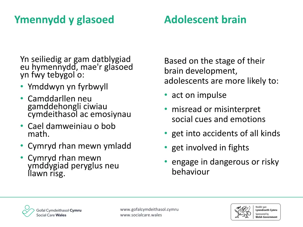 ymennydd y glasoed
