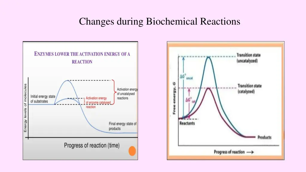 changes during biochemical reactions