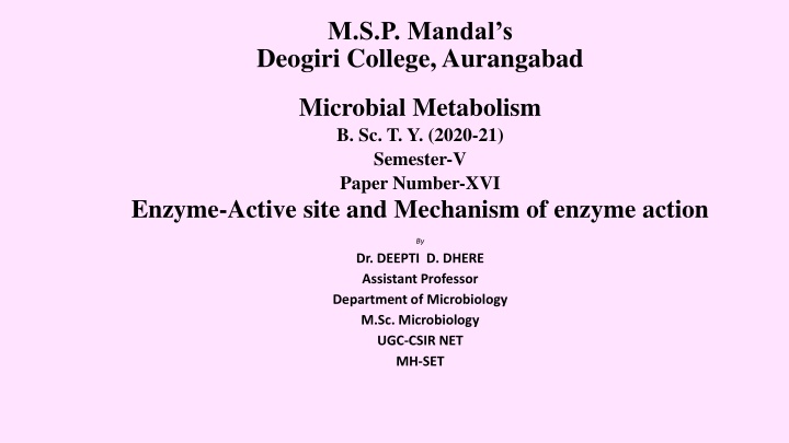 m s p mandal s deogiri college aurangabad