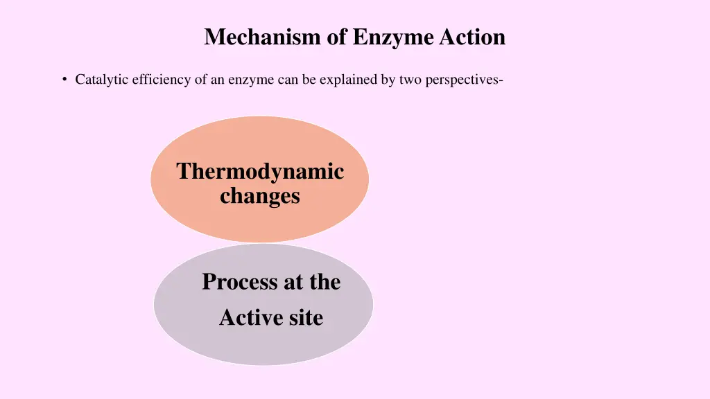 mechanism of enzyme action