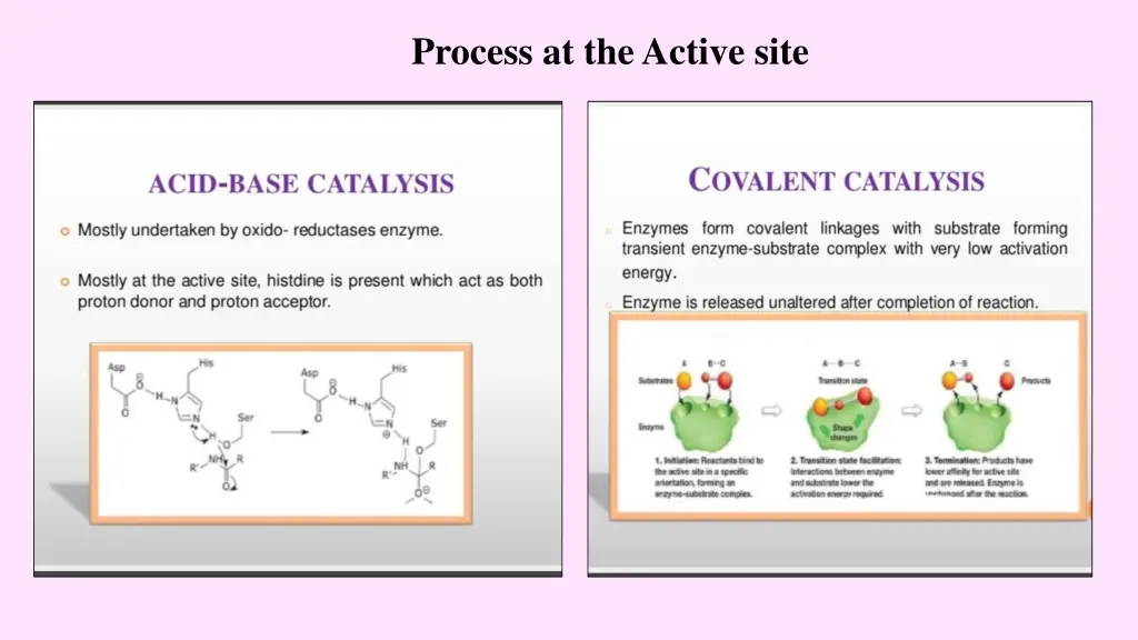 process at the active site 1