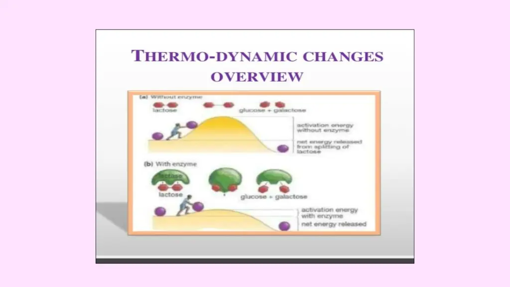 slide12