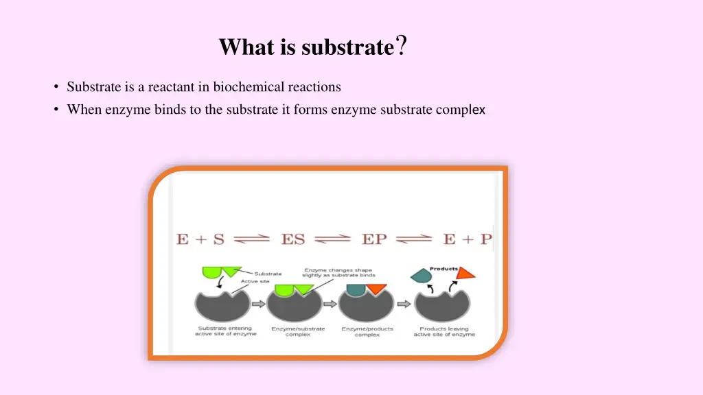 what is substrate