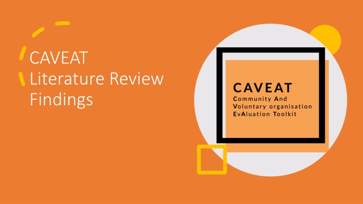 caveat literature review findings