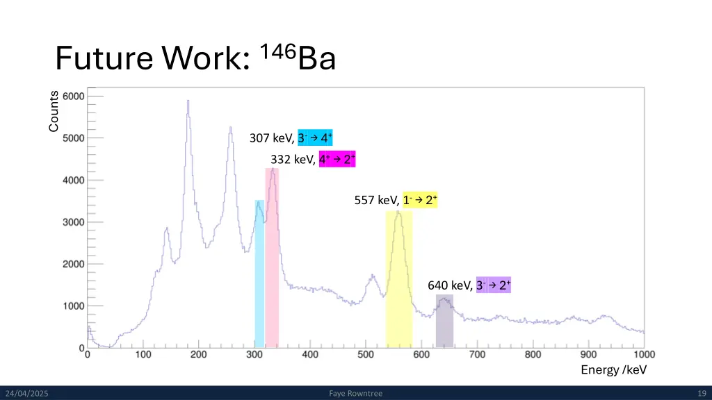 future work 146 ba