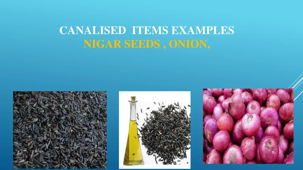 canalised items examples nigar seeds onion