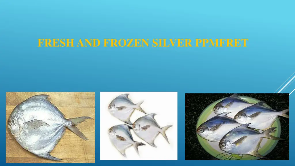 fresh and frozen silver ppmfret