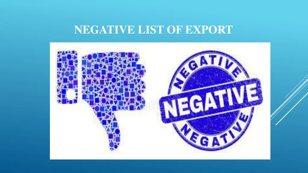 negative list of export