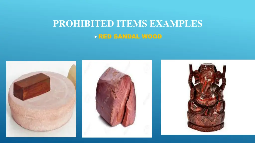 prohibited items examples 1