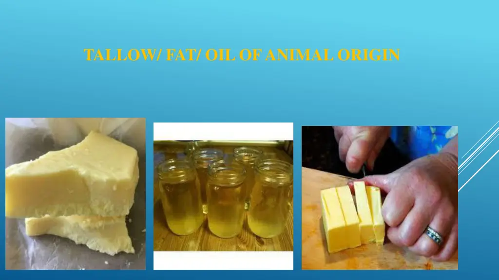 tallow fat oil of animal origin