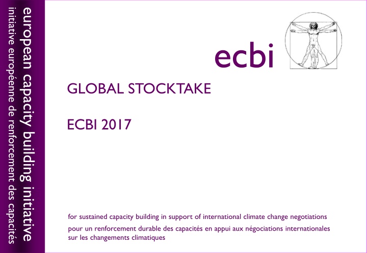 initiative europ enne de renforcement des capacit