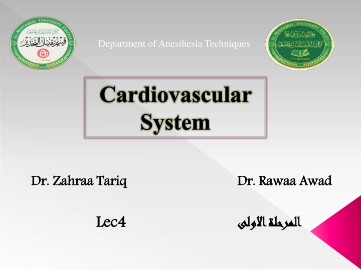 department of anesthesia techniques