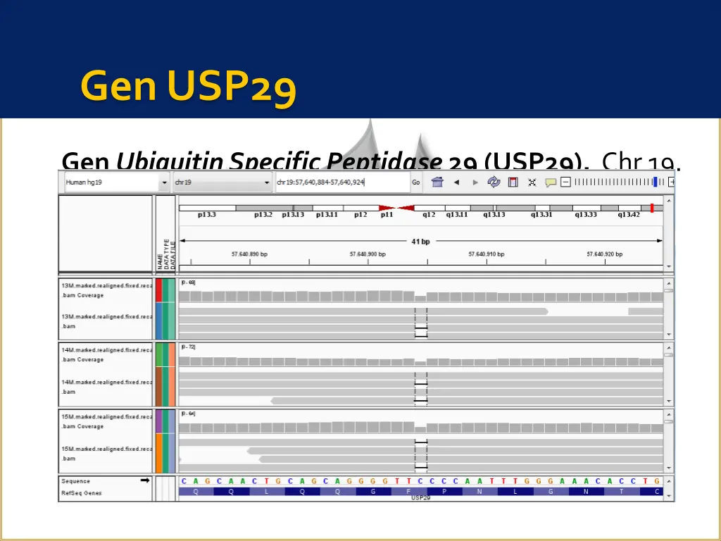 gen usp29