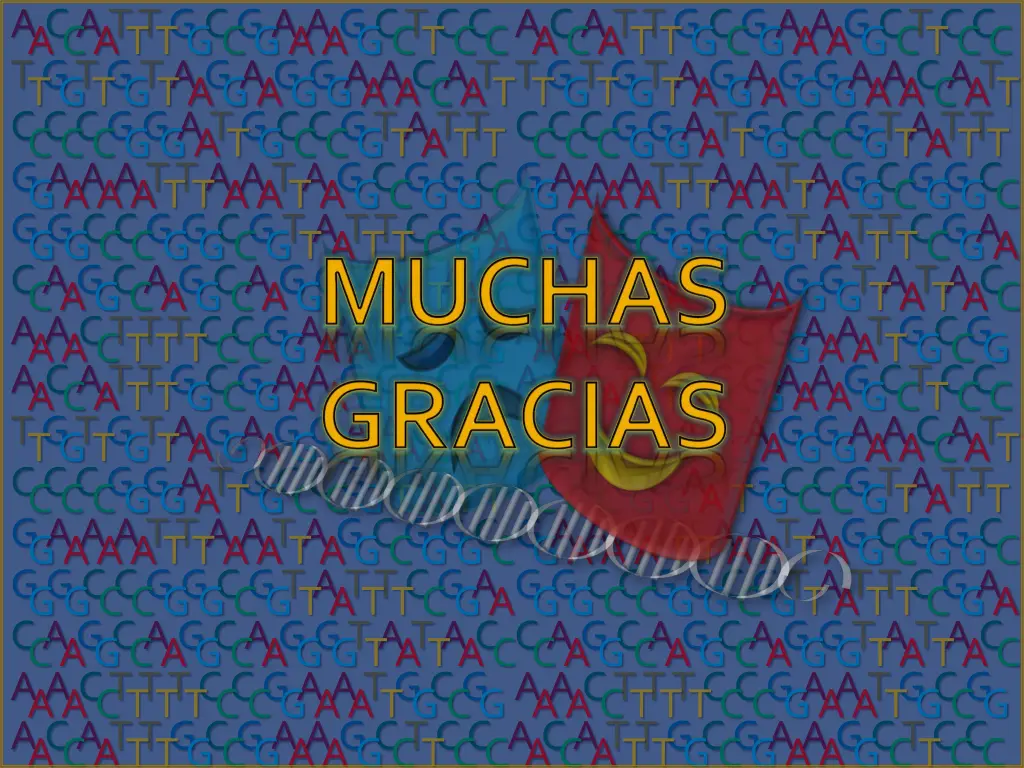 slide41