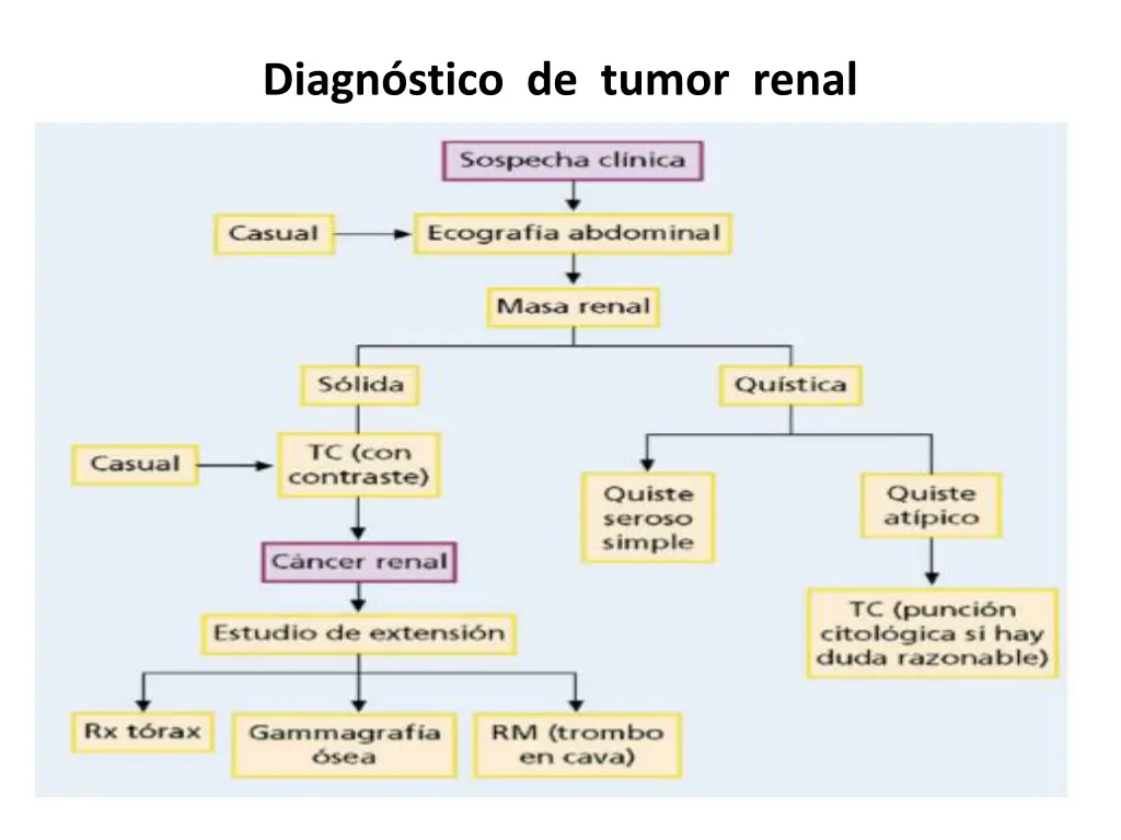 diagn stico de tumor renal