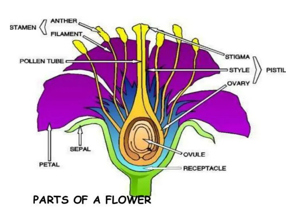 slide13