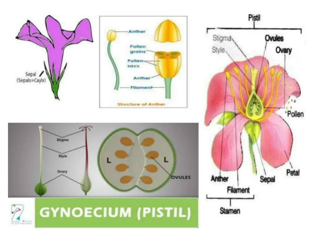 slide16