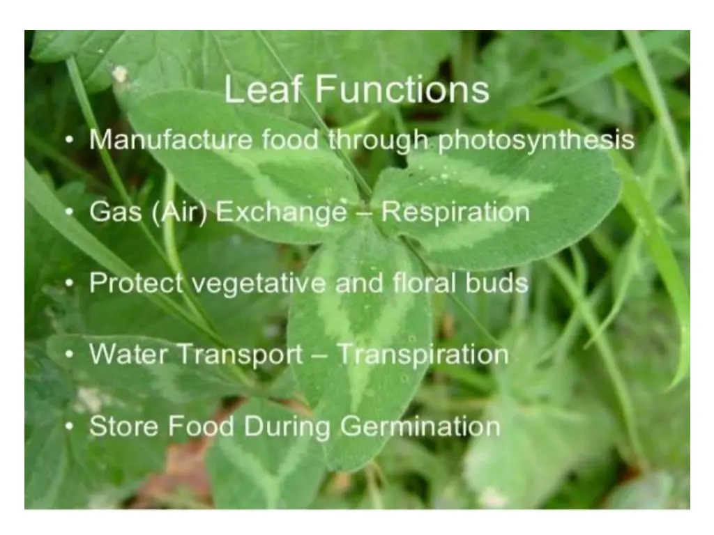 slide3