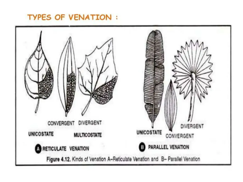 slide8