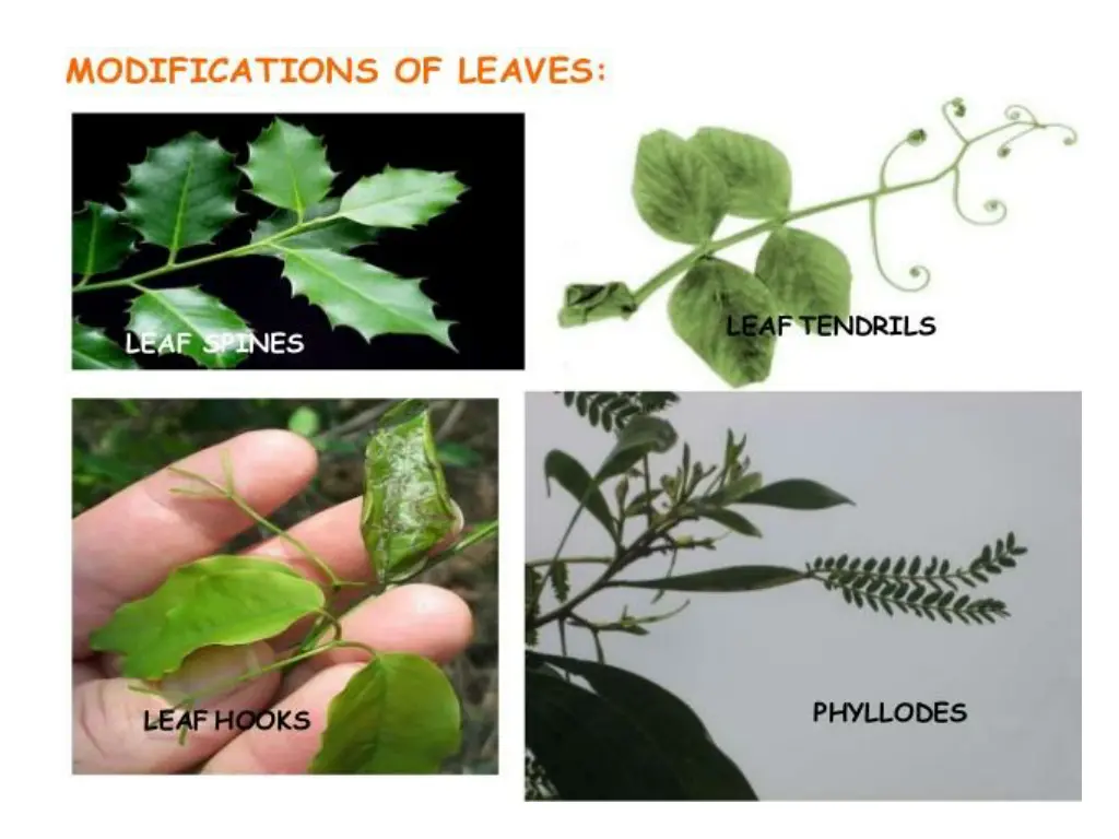 slide9