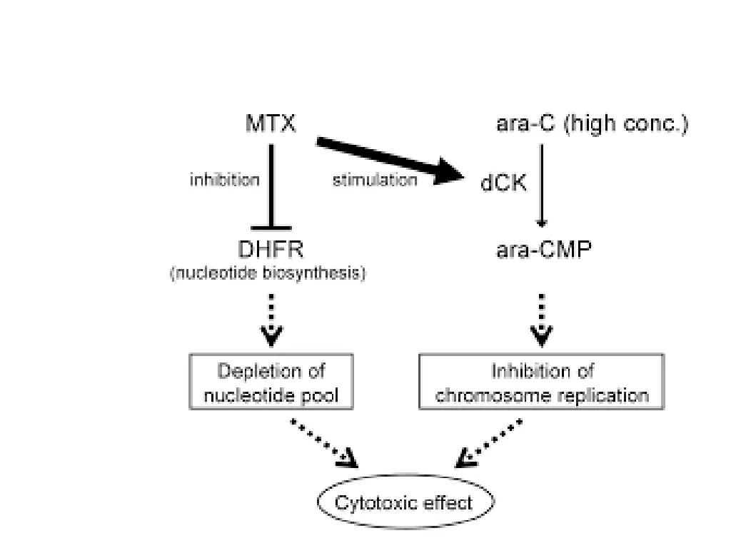 slide26