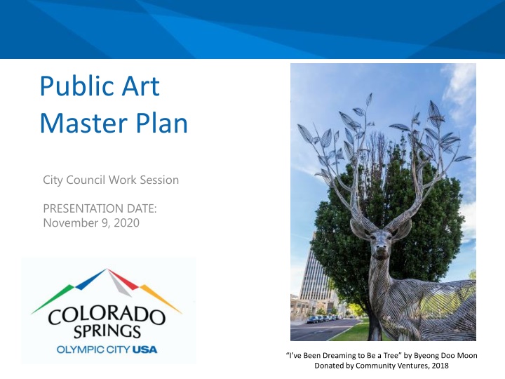 public art master plan