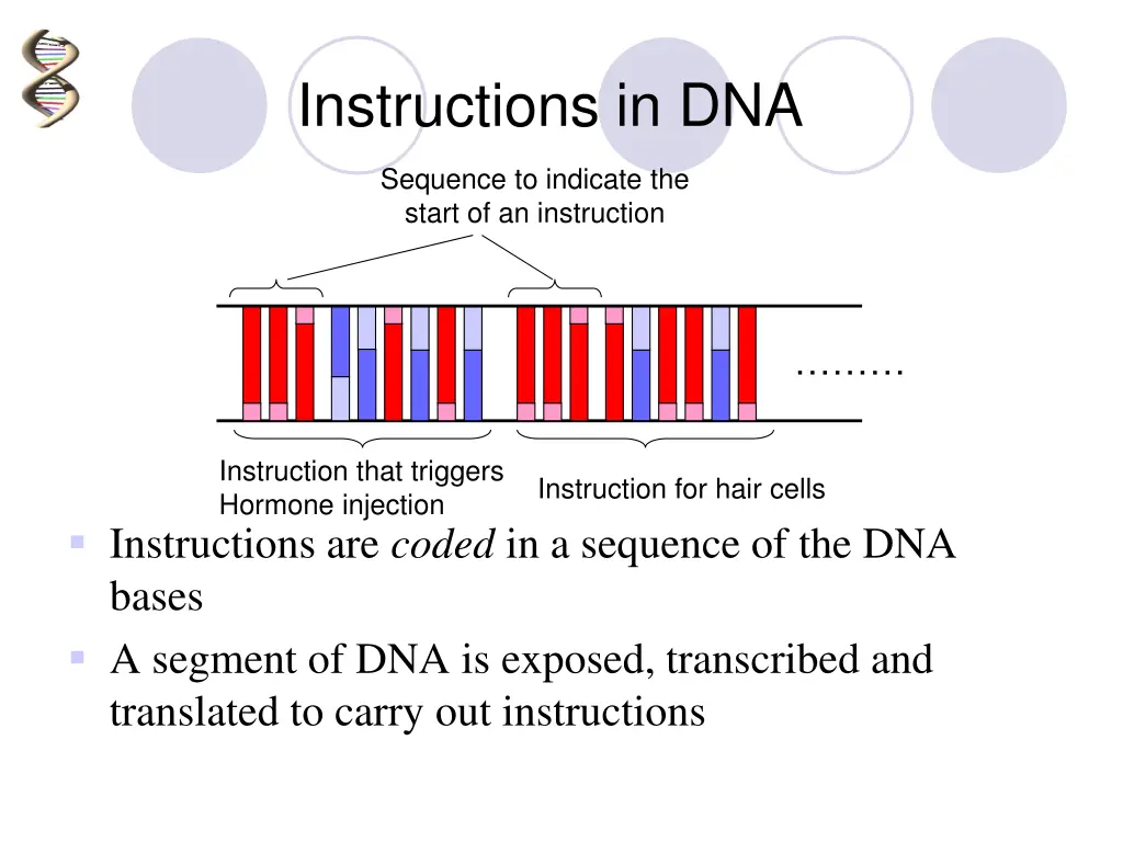 instructions in dna