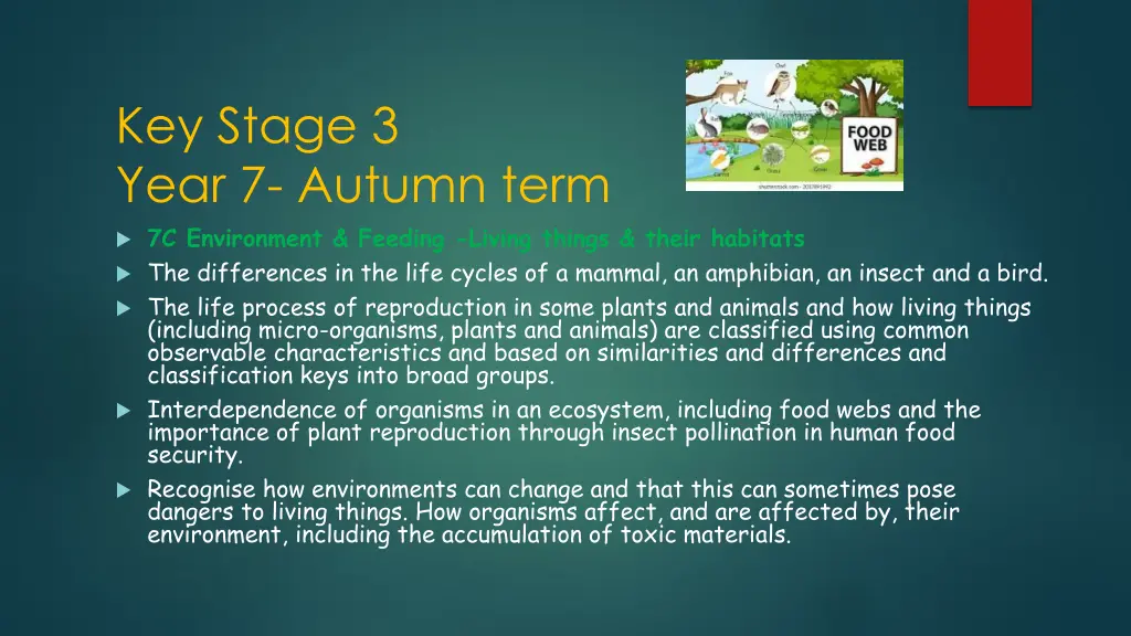 key stage 3 year 7 autumn term 7c environment
