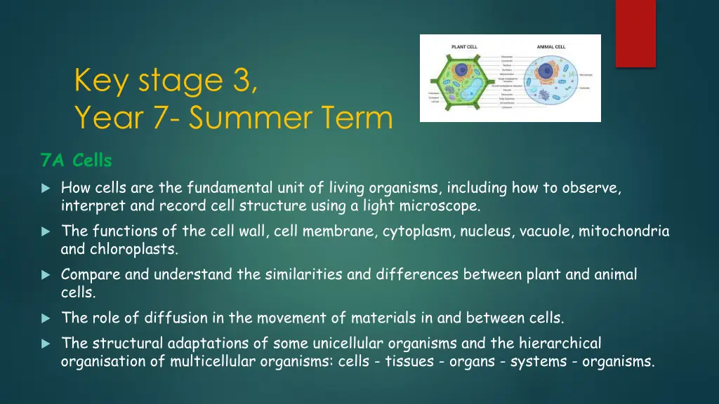 key stage 3 year 7 summer term