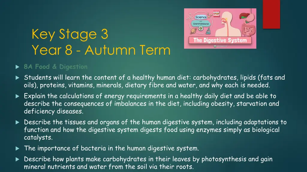 key stage 3 year 8 autumn term