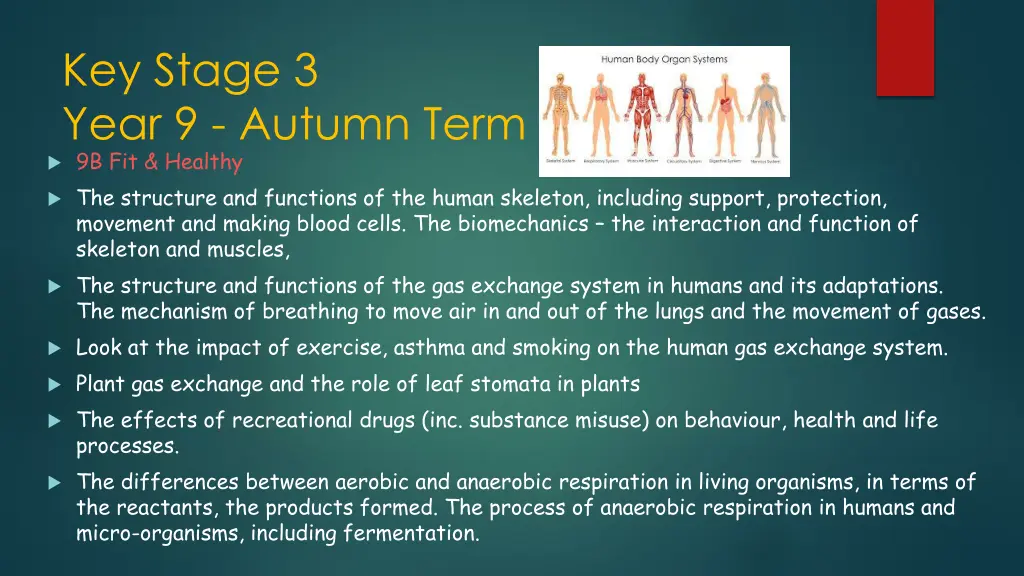 key stage 3 year 9 autumn term 9b fit healthy