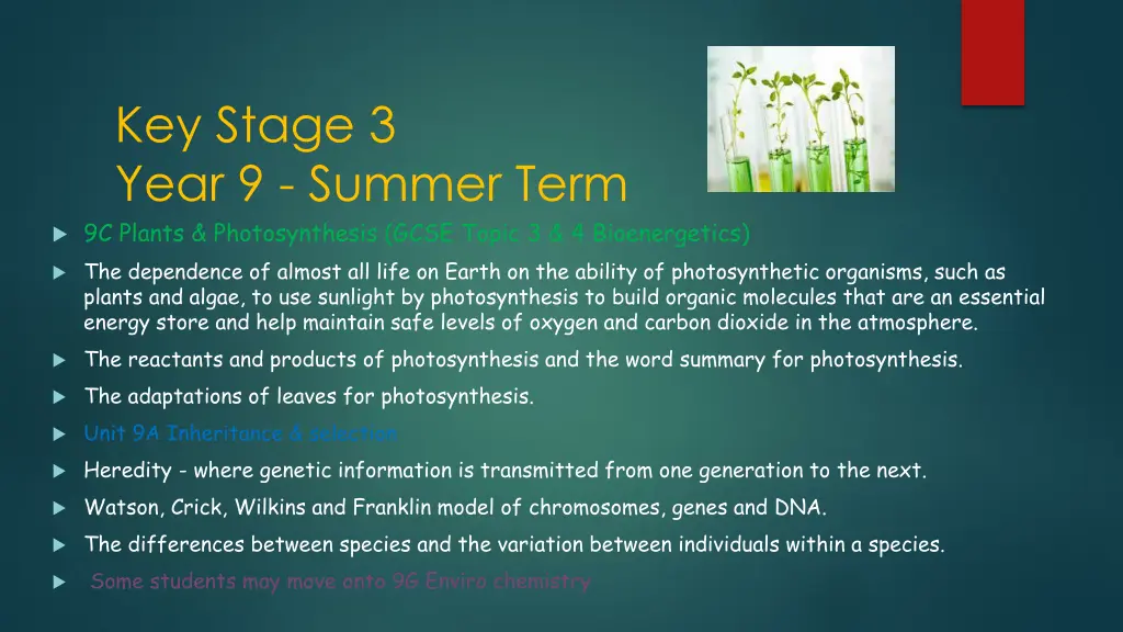 key stage 3 year 9 summer term 9c plants