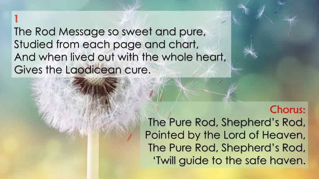 1 the rod message so sweet and pure studied from