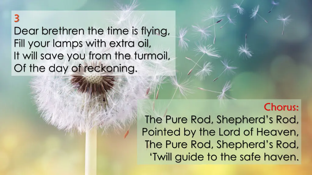 3 dear brethren the time is flying fill your