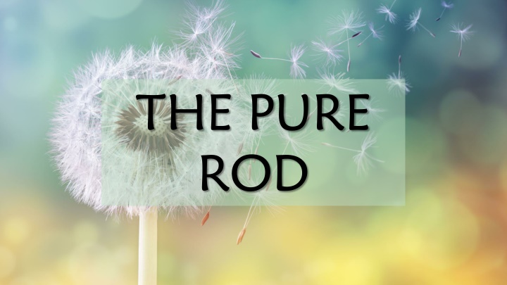 the pure rod