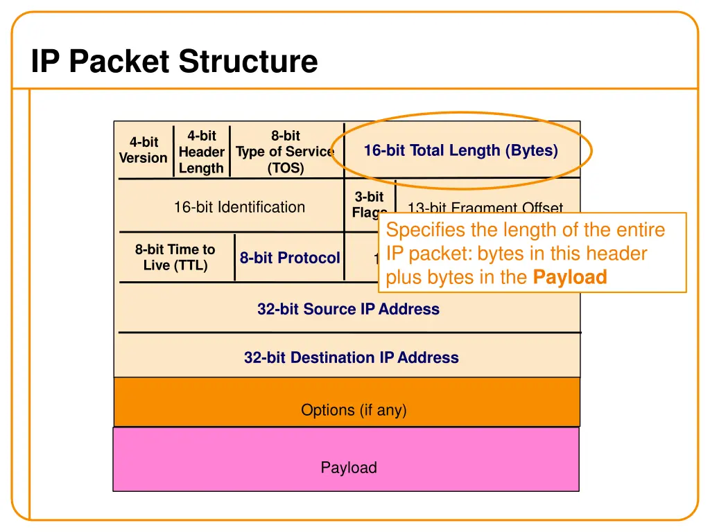 ip packet structure 1