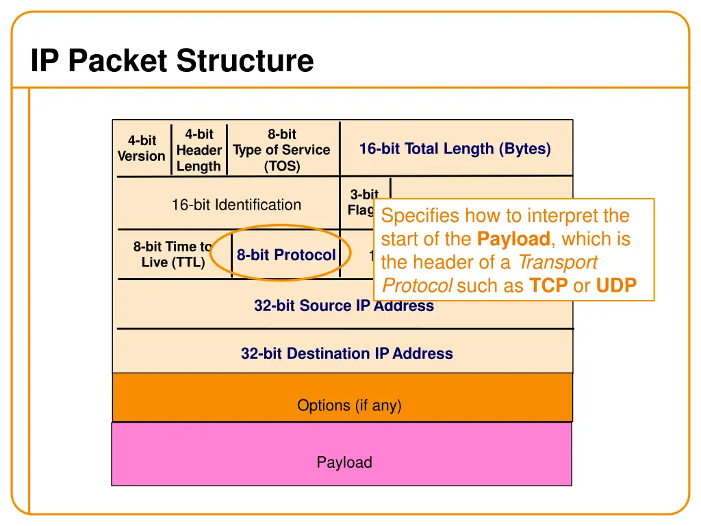 ip packet structure 2