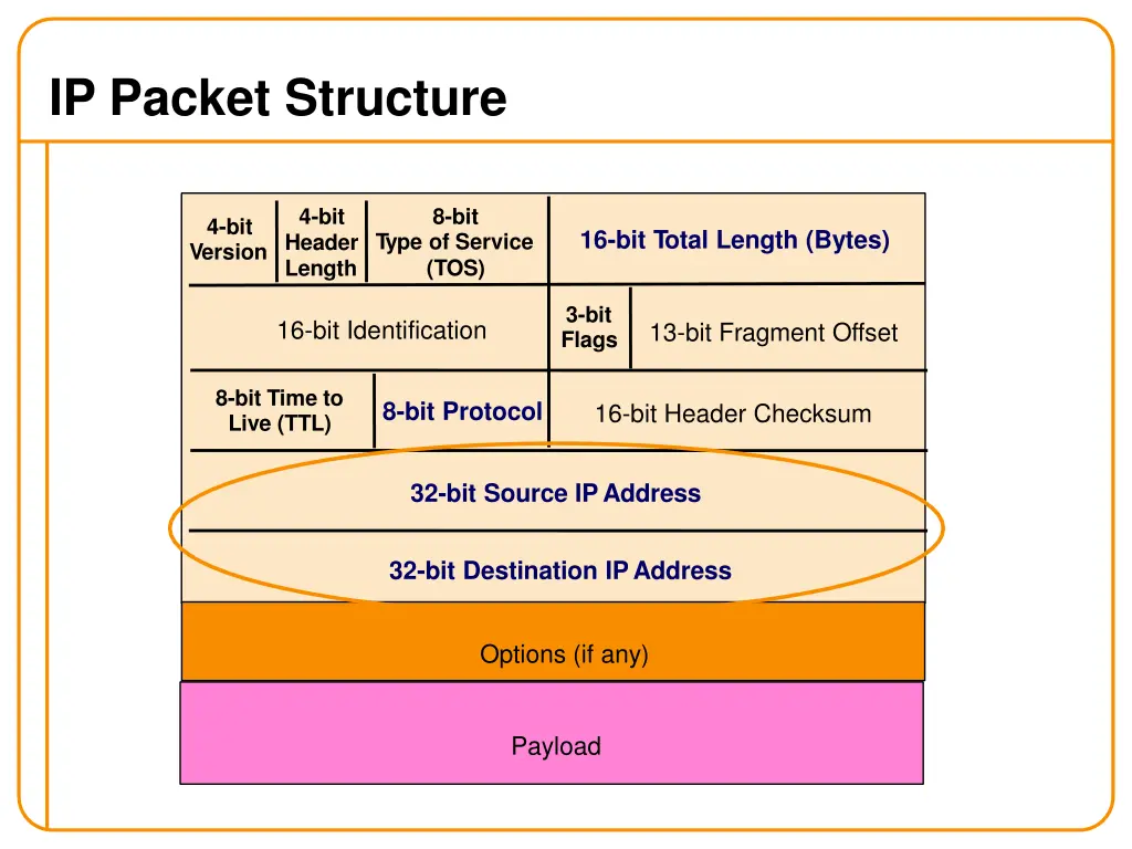 ip packet structure 3