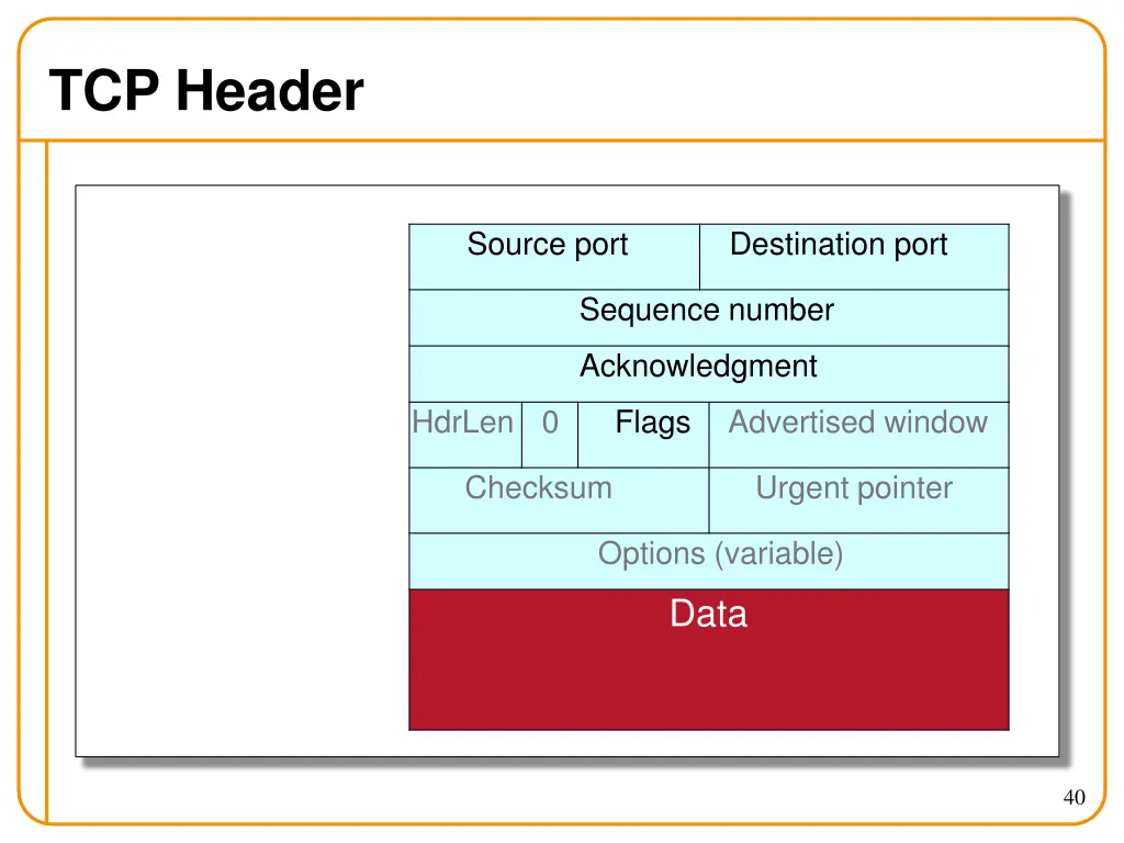 tcp header