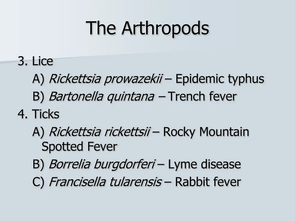 the arthropods 1