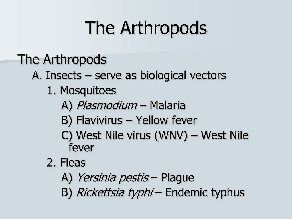 the arthropods