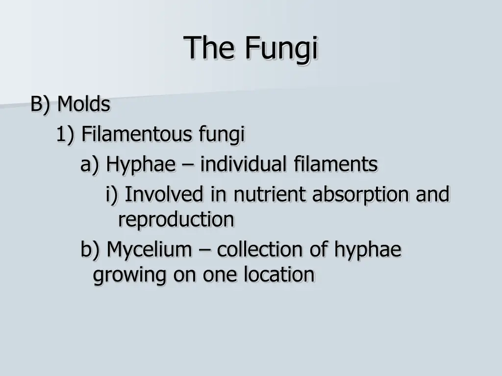 the fungi 2