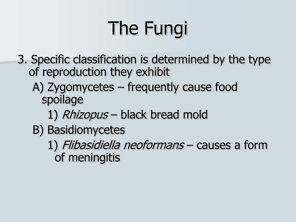 the fungi 3