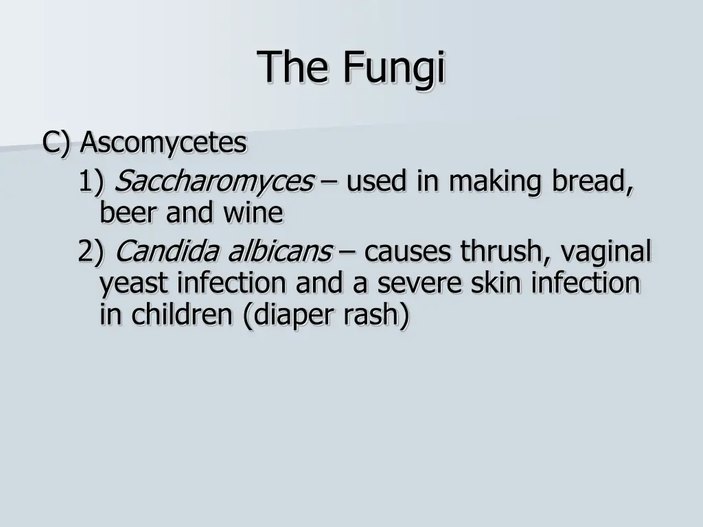 the fungi 4