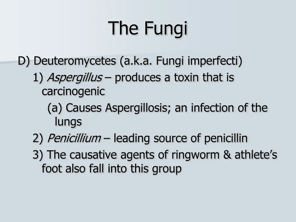 the fungi 6