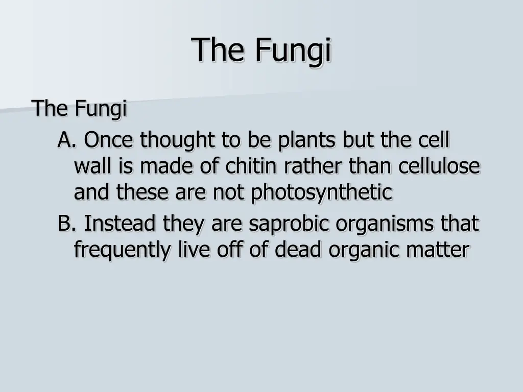 the fungi