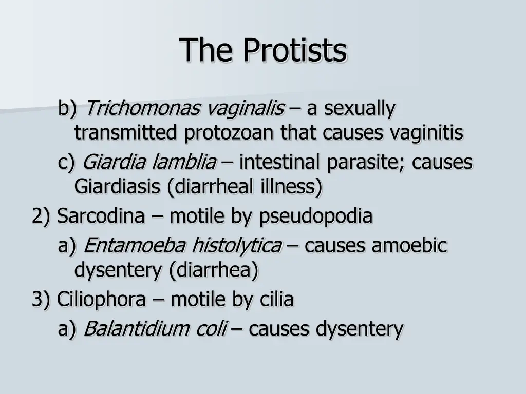 the protists 3
