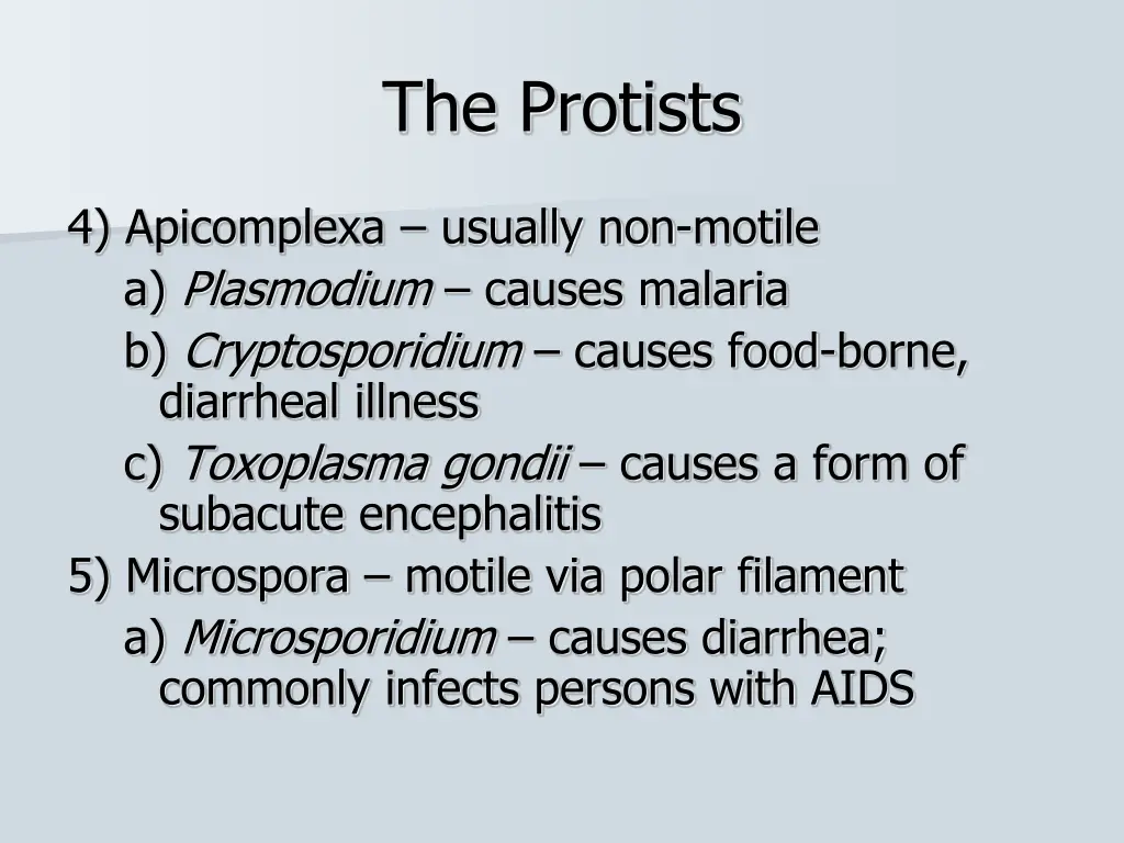 the protists 4