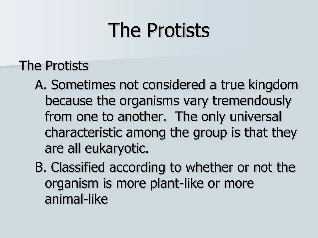 the protists